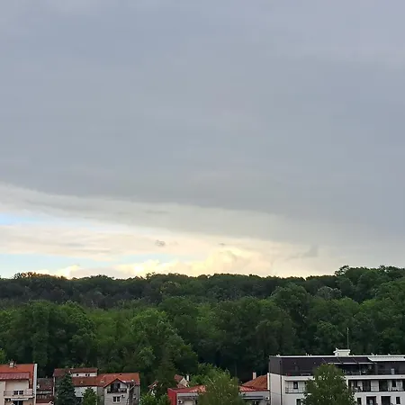 Apartment Forest View