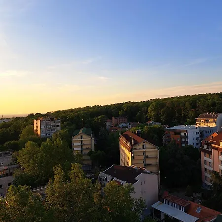 Apartment Forest View *